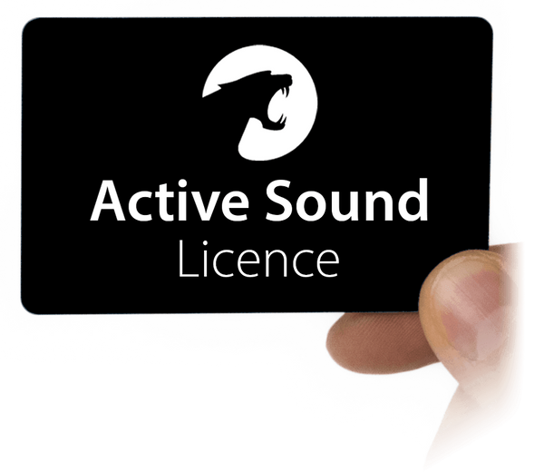 Карта Active Sound Licence в ръка