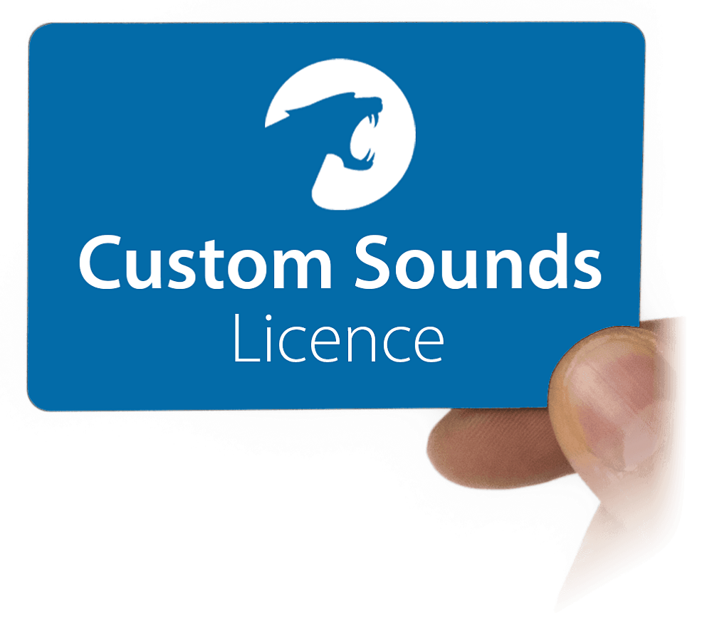 Синя карта Custom Sounds Licence в ръка