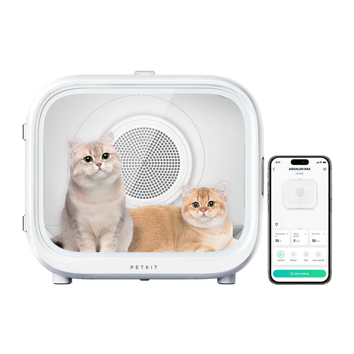 Две британски късокосмести котки в PETKIT AirSalon Max, до тях приложението с режимите за сушене