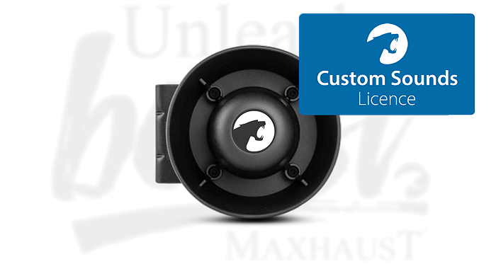 High Speaker до синя карта Custom Sounds Licence