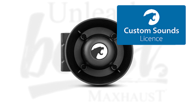 High Speaker до синя карта Custom Sounds Licence
