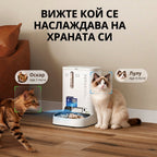 Две котки до хранилката — камерата разпознава, че Оскар е ял 2 пъти, а Лулу 4 пъти