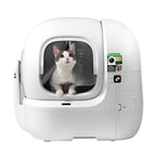 Сиво-бяла котка седи зад завесата в Purobot Max Pro 2 с AI камера