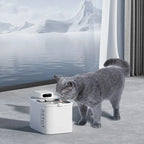 Сива британска котка пие от фонтан поилката PETKIT Eversweet Max
