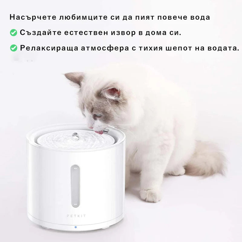 Рагдол котка пие от фонтан поилката PETKIT Eversweet Solo 2