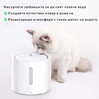 Рагдол котка пие от фонтан поилката PETKIT Eversweet Solo 2
