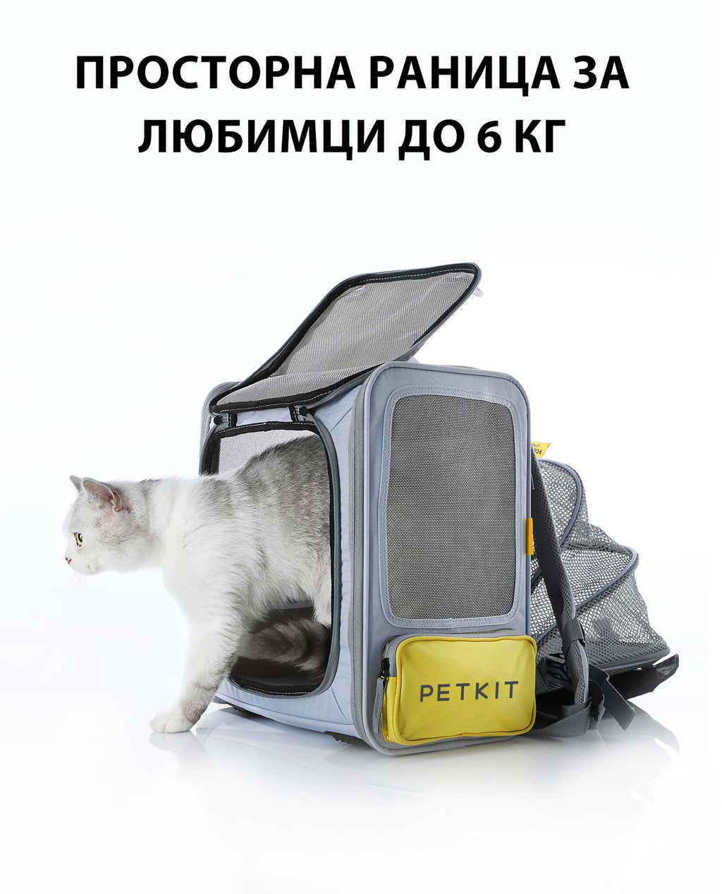 Сива котка излиза от разгънатата раница Breezy xZone — за любимци до 6 кг