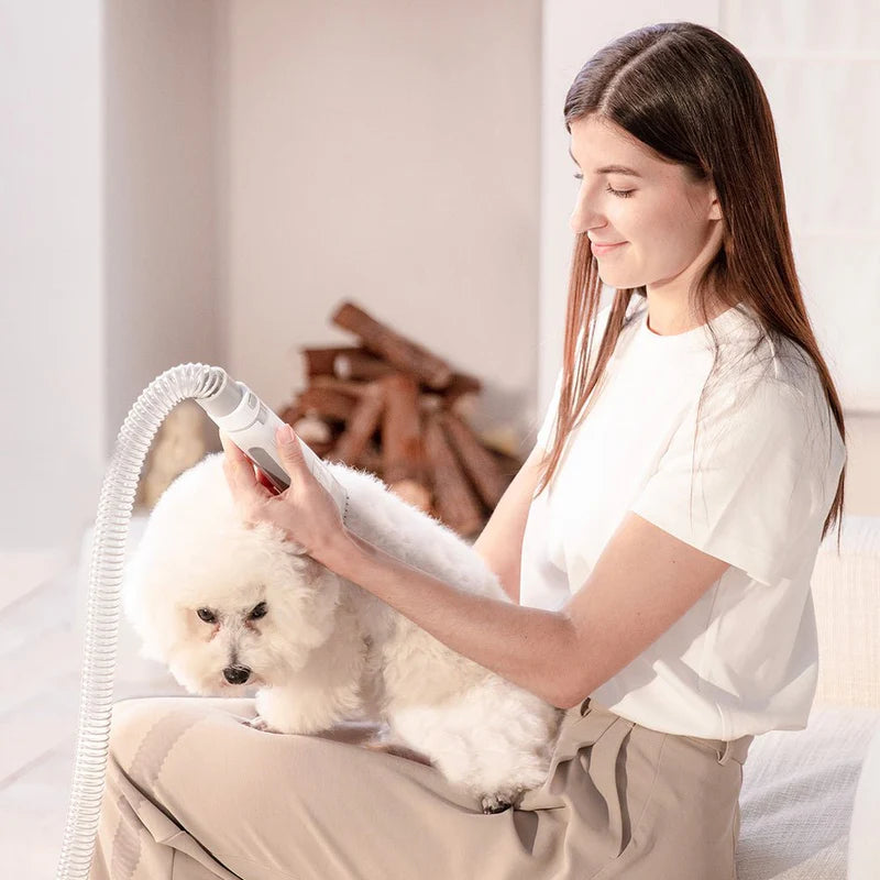 Жена подстригва бишон фризе с безжичния тример на PETKIT AirClipper