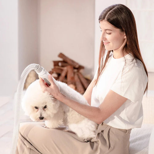 Жена подстригва бишон фризе с безжичния тример на PETKIT AirClipper
