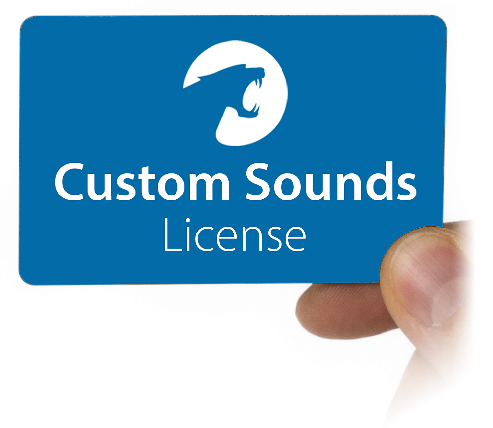 Синя карта Custom Sounds Licence в ръка