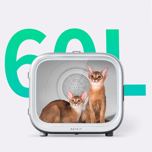 60-литровата камера на PETKIT AirSalon Max с две абисински котки вътре