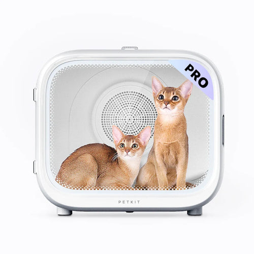 Две абисински котки в 60-литровата камера на PETKIT AirSalon Max Pro