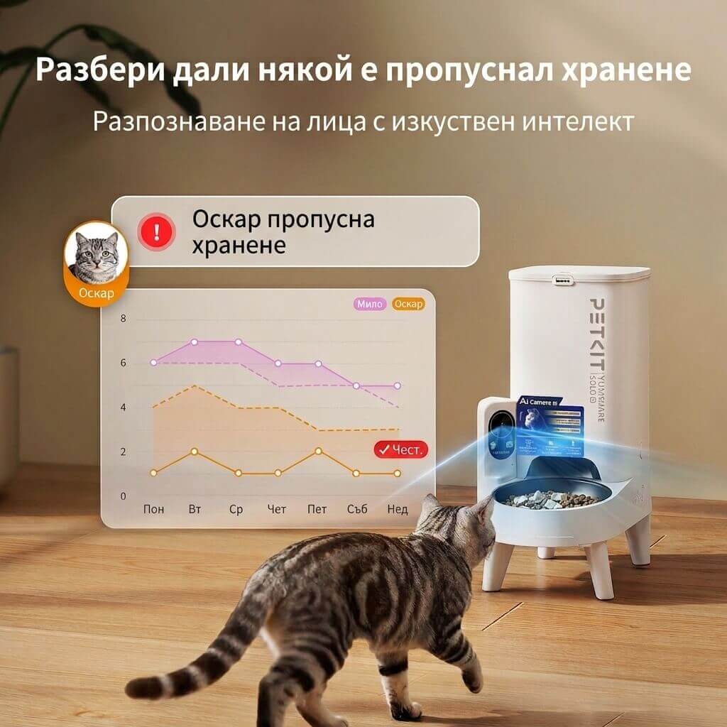 Котка отива към хранилката, а графиката показва, че Оскар е пропуснал хранене