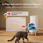 Котка отива към хранилката, а графиката показва, че Оскар е пропуснал хранене
