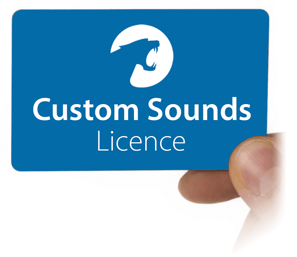 Синя карта Custom Sounds Licence в ръка