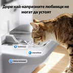 Котка пие от тавичката — постоянен, периодичен и режим при приближаване