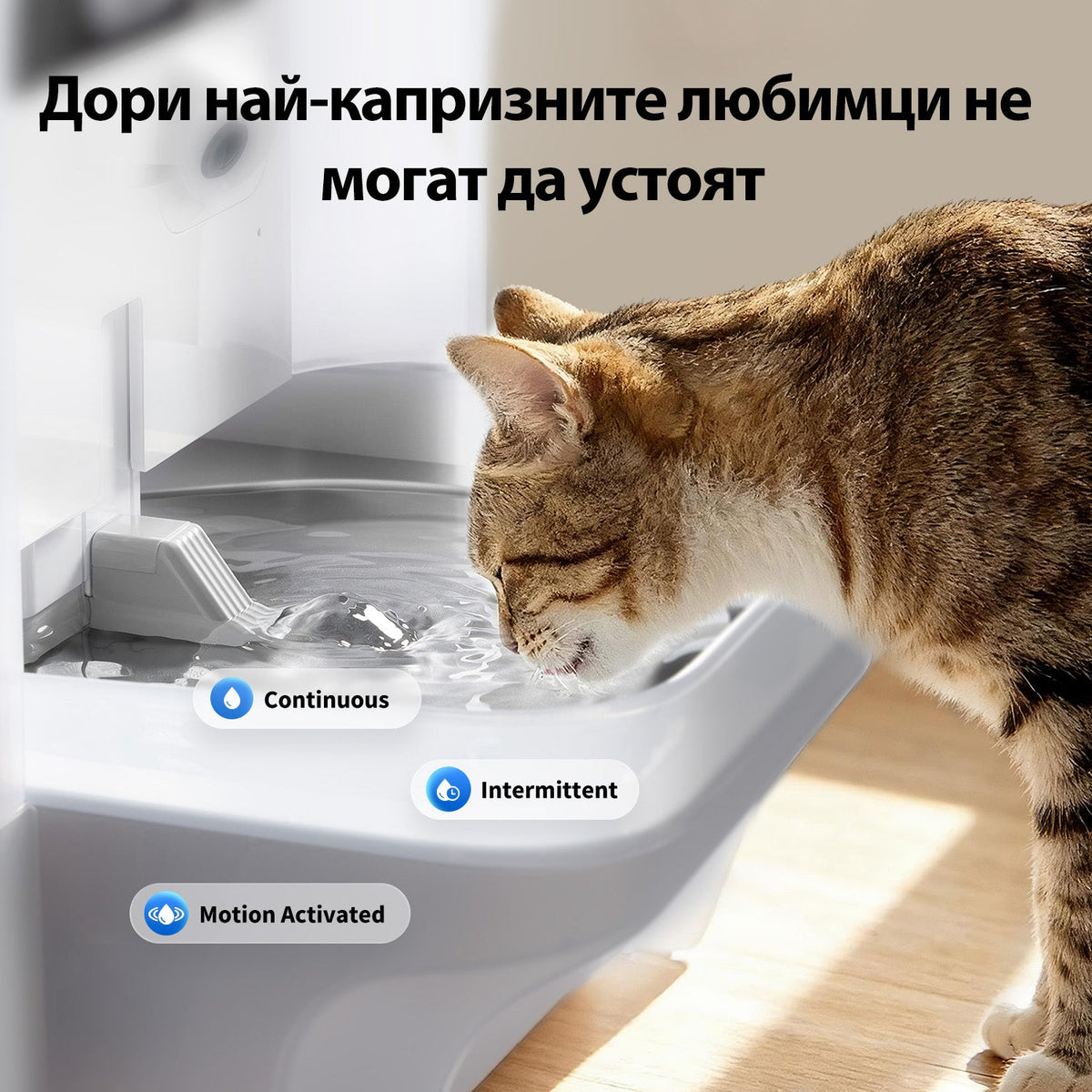 Котка пие от тавичката — постоянен, периодичен и режим при приближаване