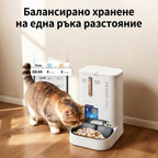 Котка яде от Dual-Hopper 2, а приложението показва порции от двата контейнера по часове