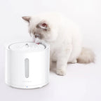 Бяла дългокосместа котка пие от фонтан PETKIT Eversweet