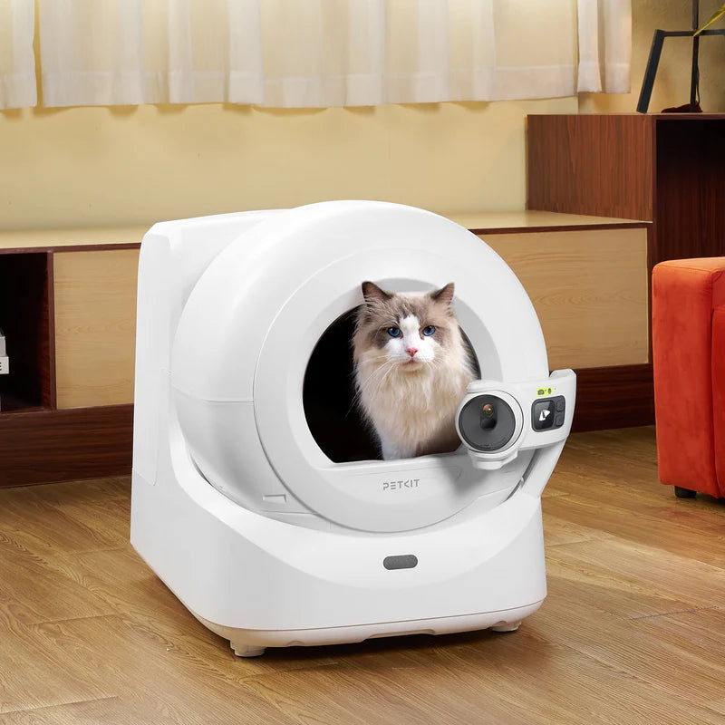 PETKIT Purobot ULTRA в дневна, рагдол котка седи вътре в барабана